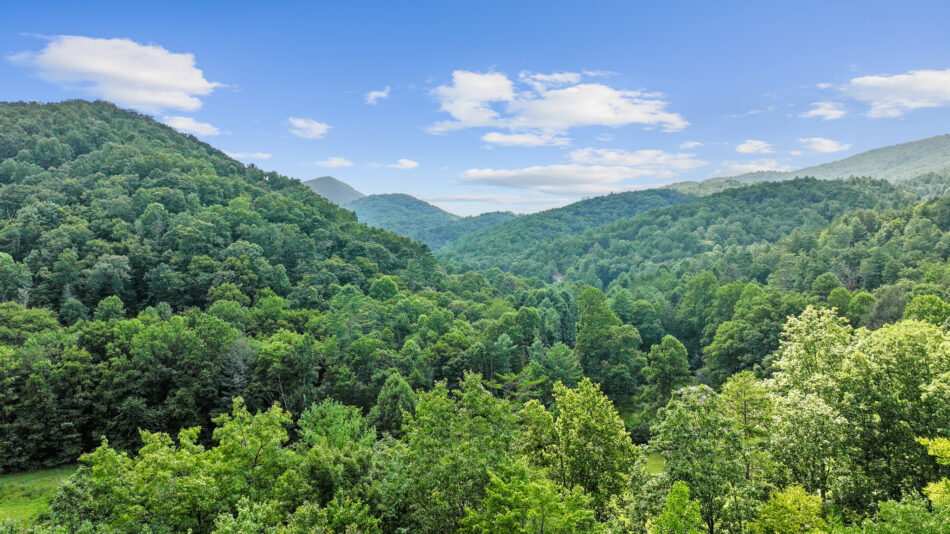 Falls Branch Falls