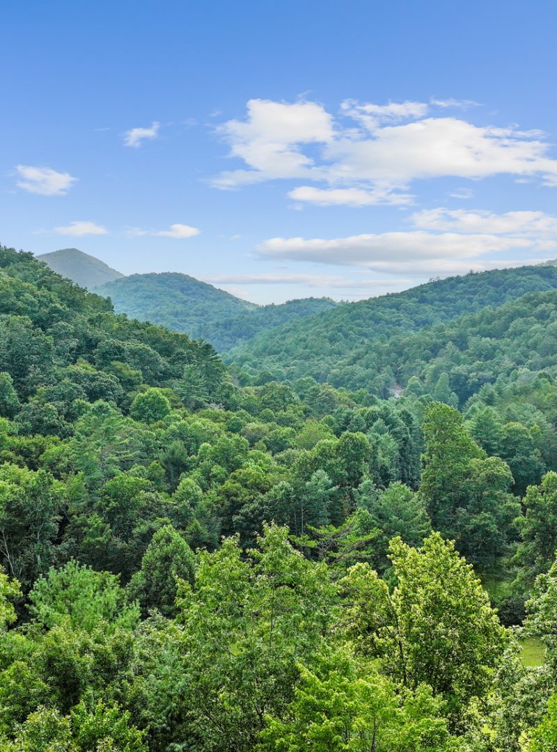 Chalet view